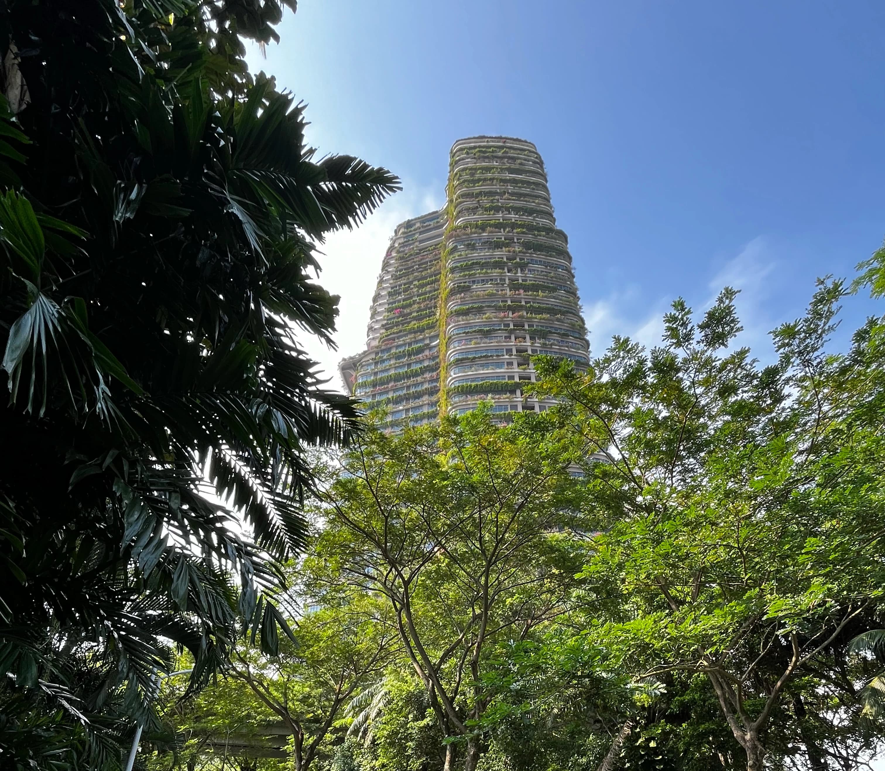 Forest city from the road