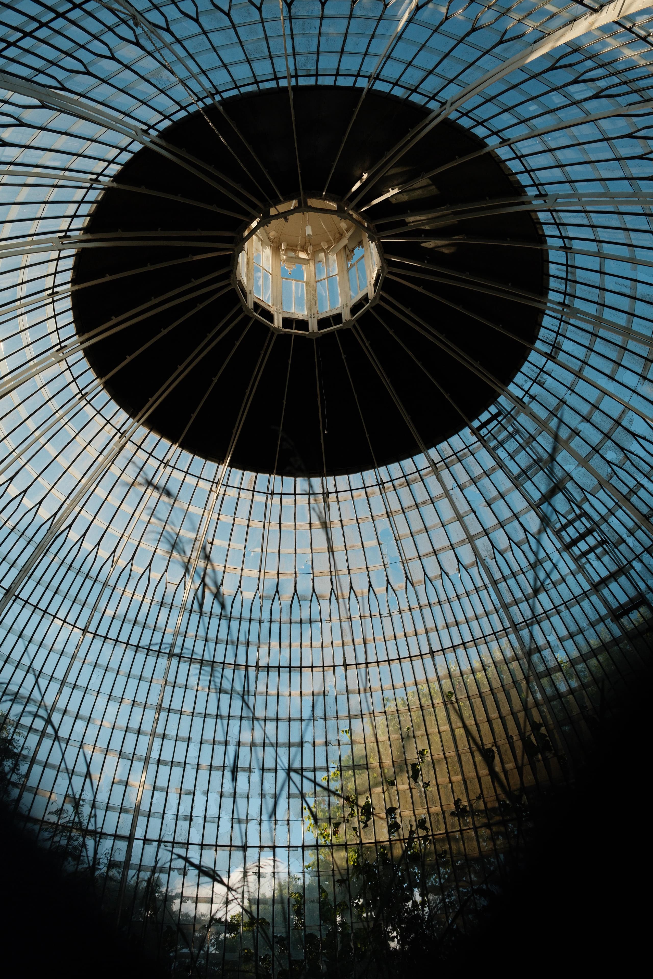 An abandoned greenhouse.