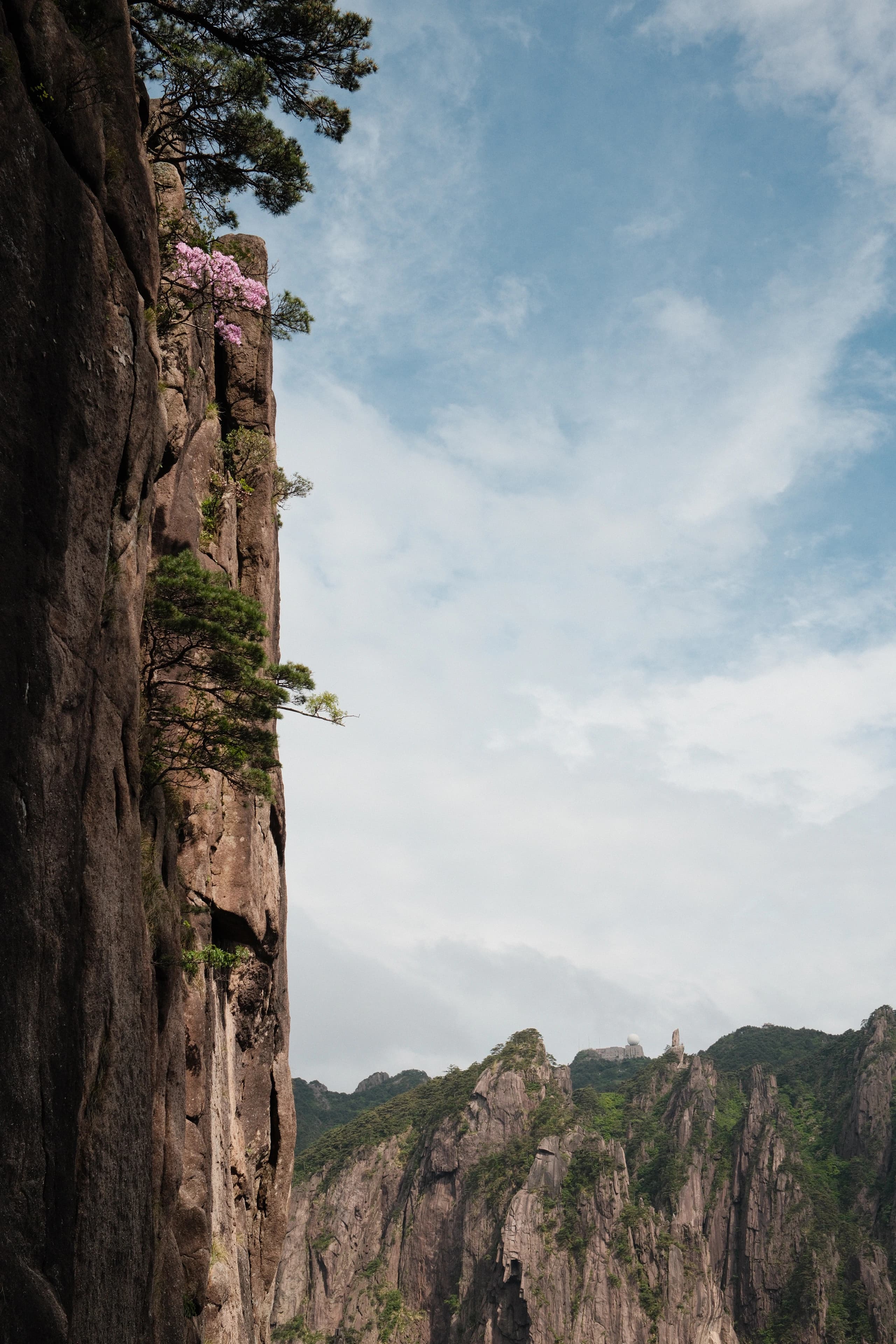 Probably no one ever climbed this.